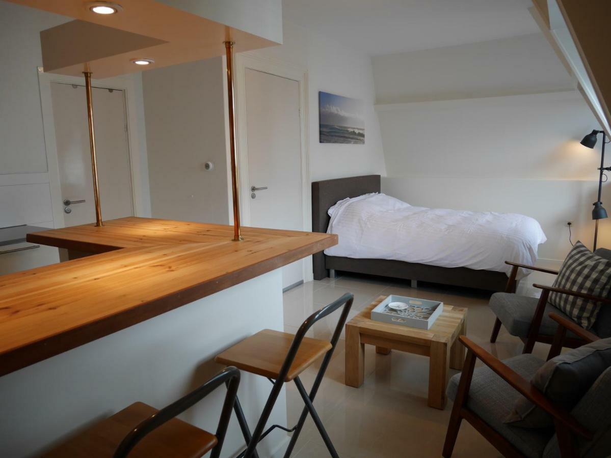 Casa Del Cisne Aparthotel Zandvoort Kültér fotó